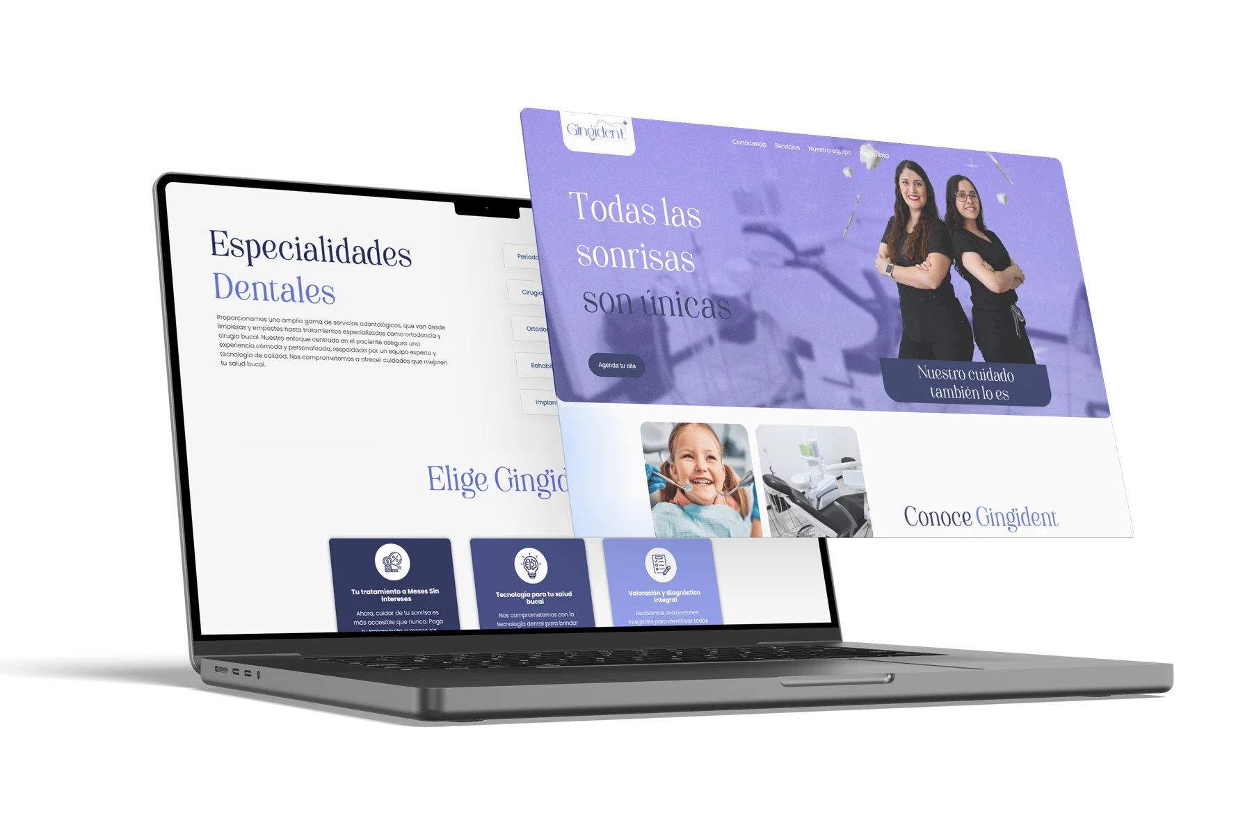 Gingident: muestra del proyecto